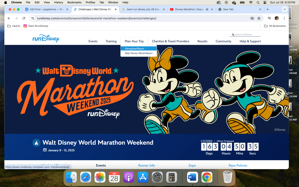 Embrace the Time Suck—163 Days Until Dopey&nbsp;Challenge